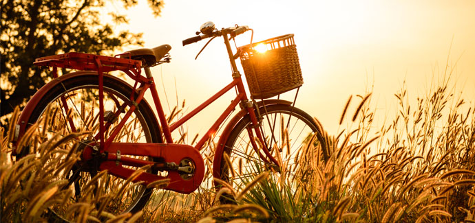 Fiets Specials Fiets Specials
