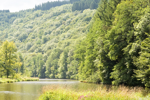 Secret Hotel Ardennen 3*plus