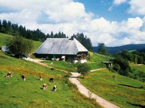 Best Western Hotel Schwarzwald Residenz