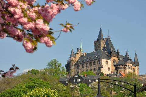 Secret Kasteel Hotel Noord-Duitsland