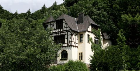 Ringvilla