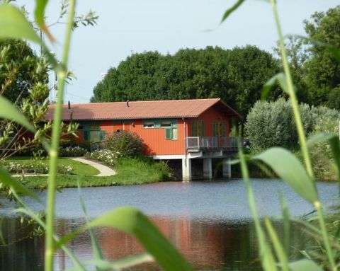 Hajé Waterlodges de Aalscholver
