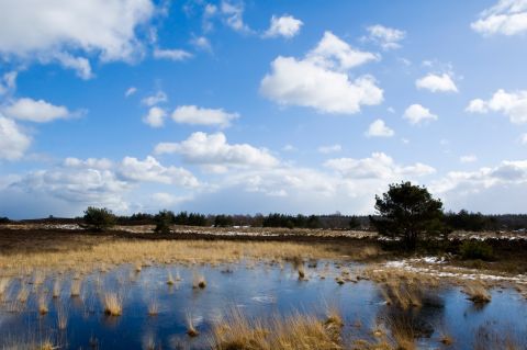 Secret Hotel Veluwe