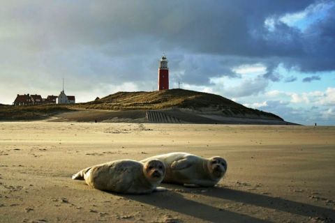 Hotel Molenbos Texel