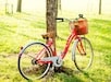 Fietsarrangement