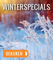 WinterSpecials