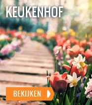 Keukenhof