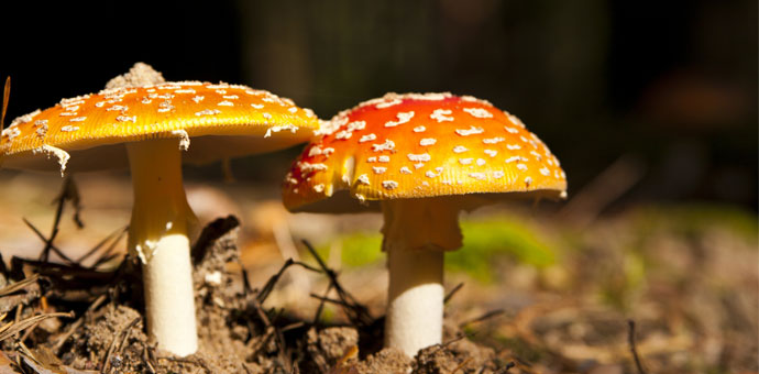 Alle hotels in de herfstvakantie Alle hotels in de herfstvakantie