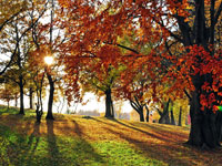 Herfstvakantie Nederland