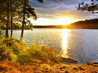 Hotels Herfstvakantie