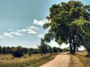 Omgeving