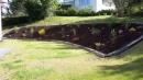 Omgeving
